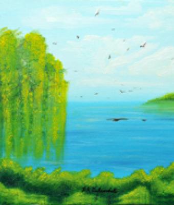 la-bellezza-della-natura