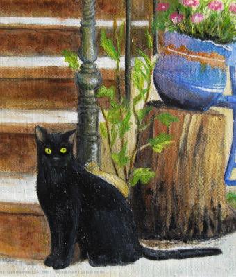 gatto-in-cortile