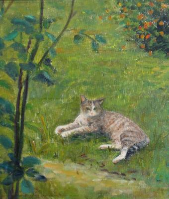 rommy-nel-prato