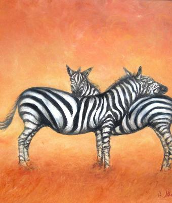 zebre
