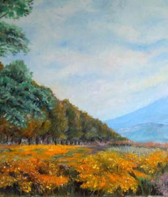 paesaggio