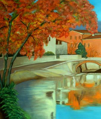 riflessi