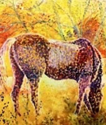 cavallo-al-pascolo