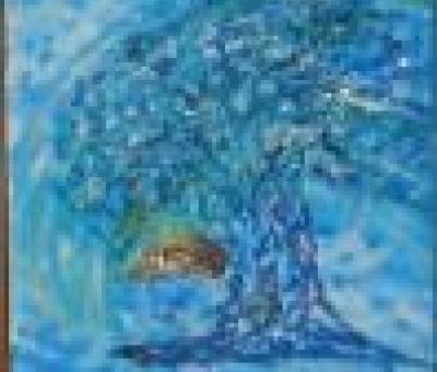 seguendo-la-stella-cometa