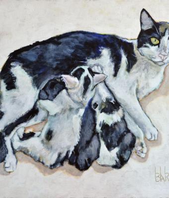 cat-maternity