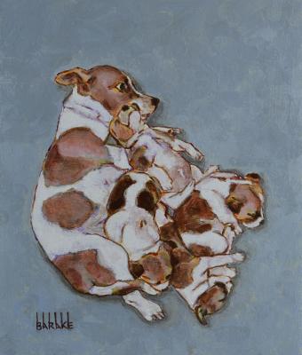 jack-russell-maternity-petit-s