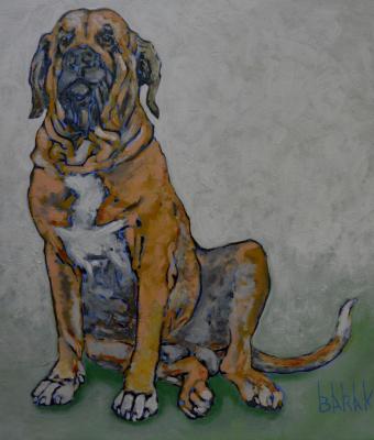fila-brasileiro