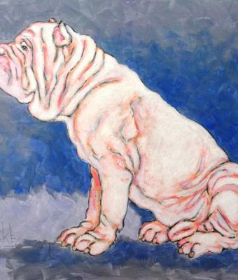 mastino-bianco