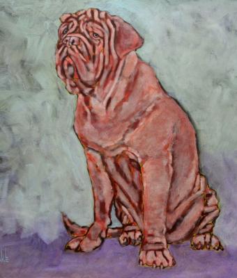 chien-de-bordeaux