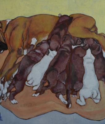 maternity-vi-boxer-family