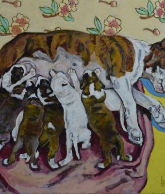 maternity-viii-bull-terrier-f