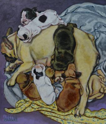 maternity-ix-french-bully-fa