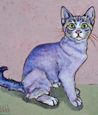 fauvist-cat