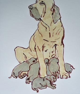 fila-brasileiro-maternity-ii