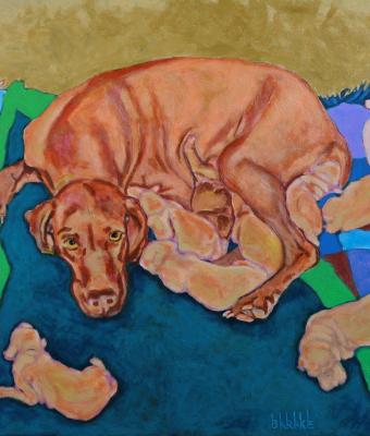 vizsla-maternity