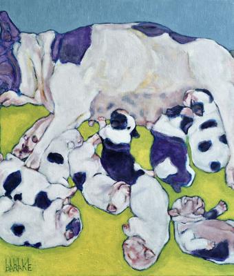 french-bouledogue-maternity-xi