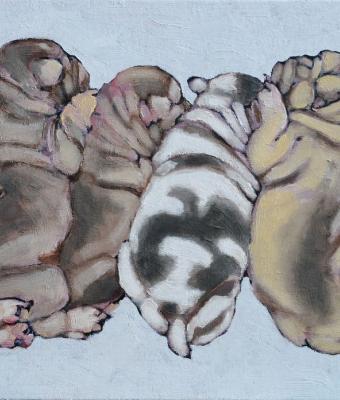 six-french-bulldog-pupps