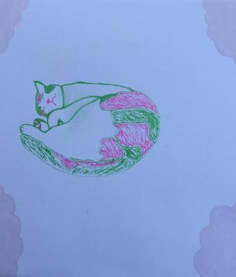 pussy