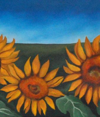 girasoli