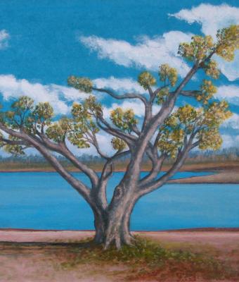 albero-e-lago
