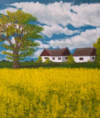 campagna-in-giallo