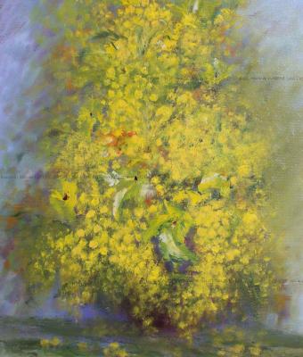 mimose