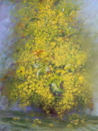 mimose