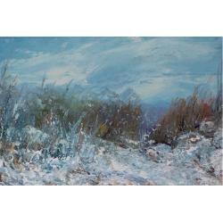 nevicata