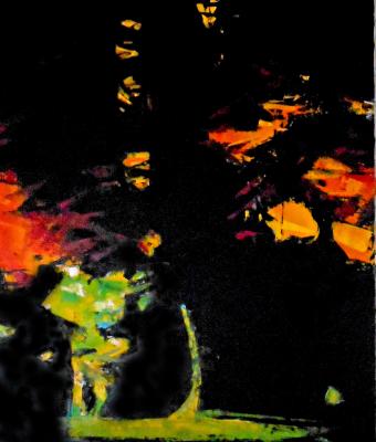 night-garden-2