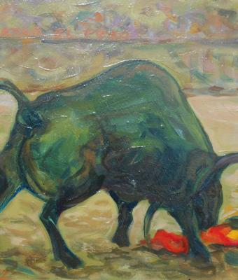 toro-in-arena