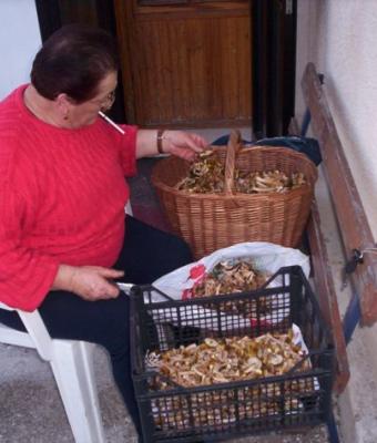 dopo-la-raccoltala-scelta