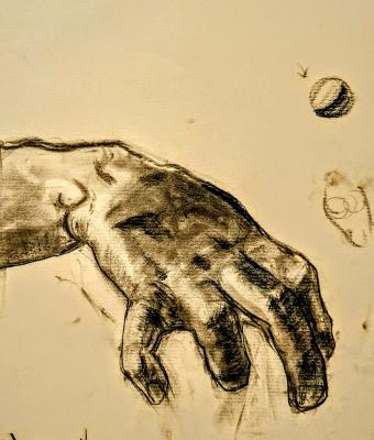 copia-per-studio-anatomico