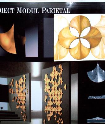 modul-parietal