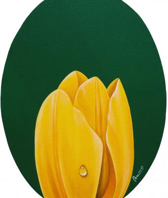 il-tulipano-giallo
