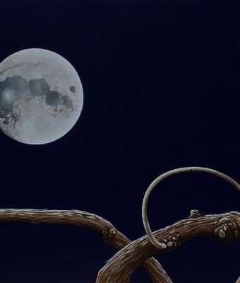 la-luna-e-la-vite