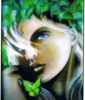 ninfa