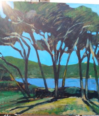 golfo-di-baratti