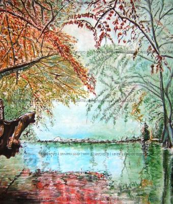 riflessi-colorati-dell-impres
