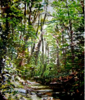 sentiero-nel-bosco