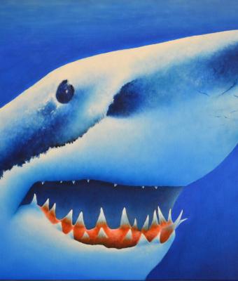 shark