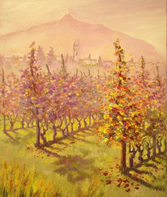 vigneto-a-frossasco