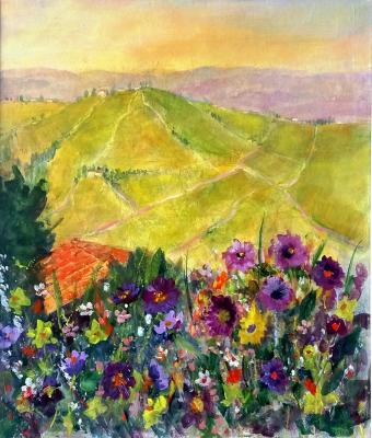 giornata-nelle-langhe