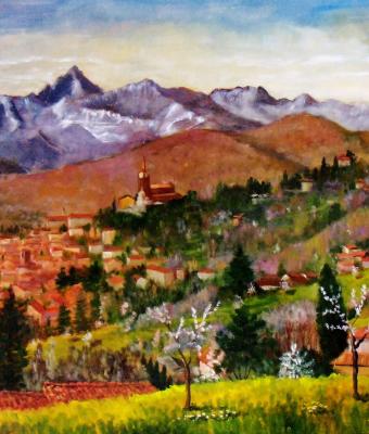 veduta-di-pinerolo