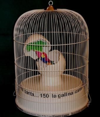 150-la-gallina-canta