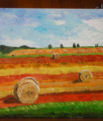 campo