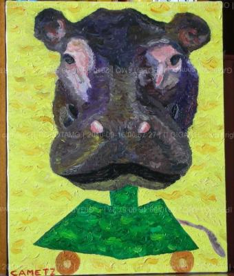ippopotamo