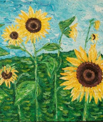 girasoli-soli