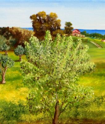 campagna