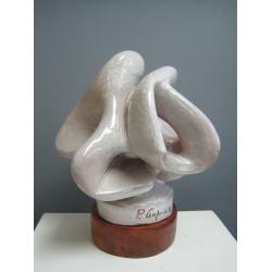 phorifera