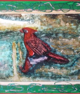 cardinale-rosso